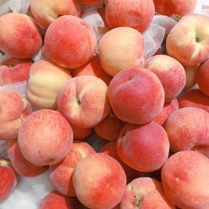 日本男女啪啪啪视频
